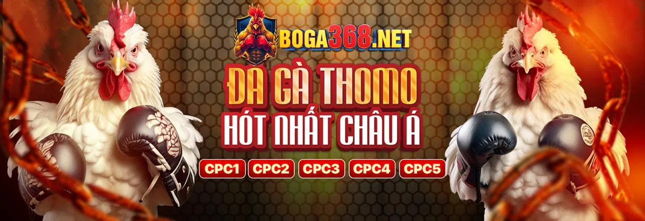 Đá Gà Trực Tuyến 33win4