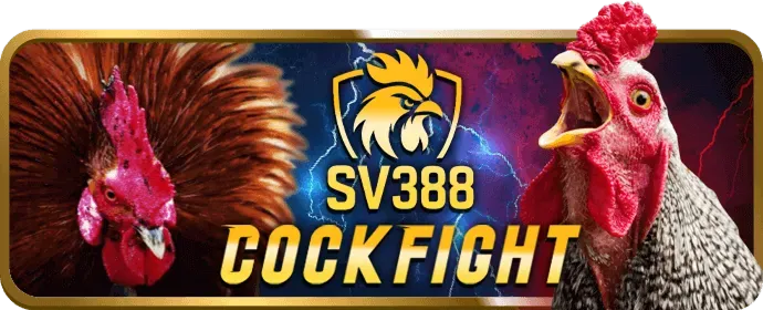 Tính năng bảo mật của 33win4 đăng nhập